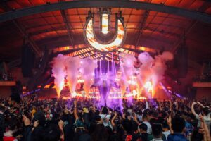 Crowd cheers for DJ at Ultra Australia event