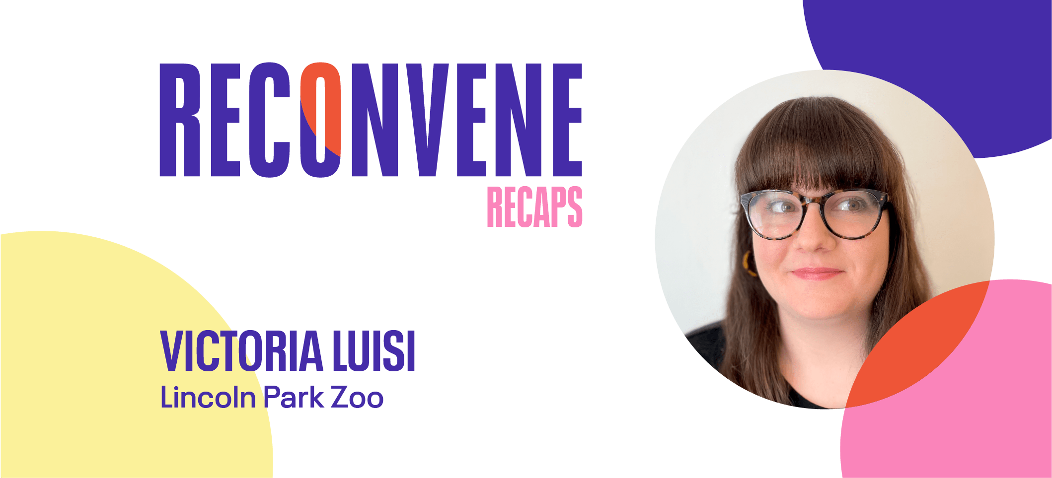 how-lincoln-park-zoo-built-an-international-audience-via-virtual-events