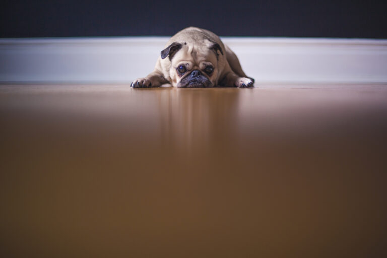 Negative Thoughts Holding Back Your Events