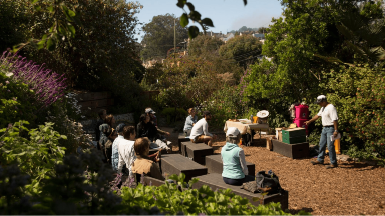 A beekeeper talks to guests at an outdoor workshop