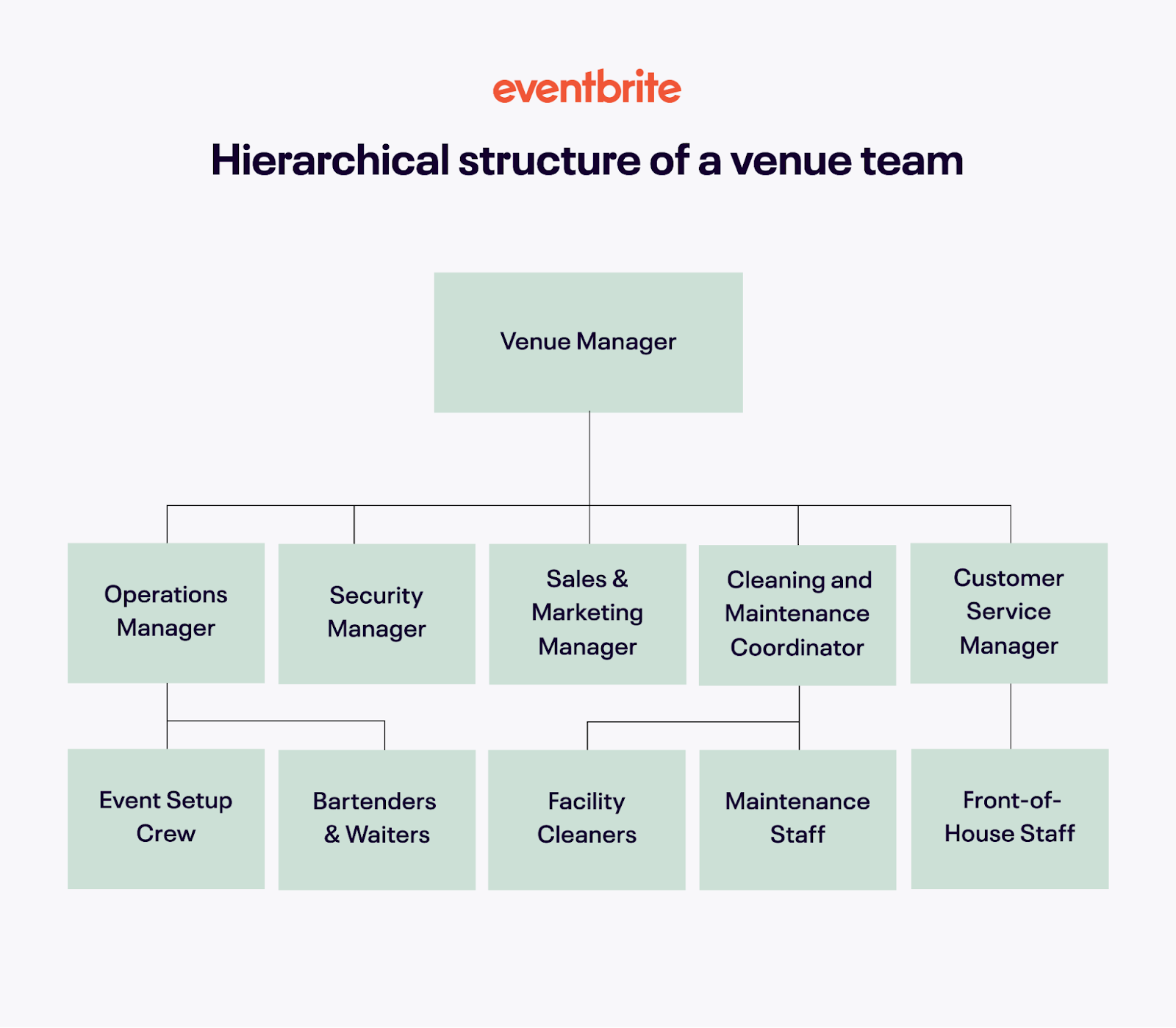 structure of venue team