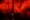 A performer on stage at The Haunted Tavern. The stage is lit by red lights, giving an eerie quality to the event.